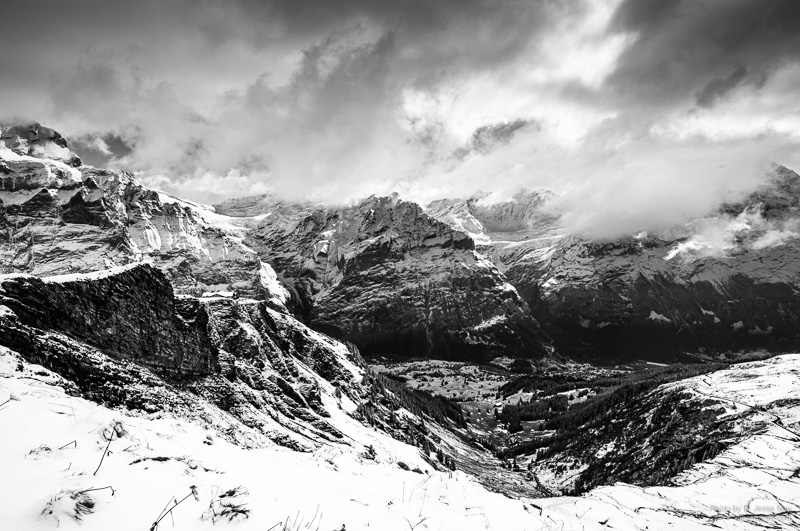 Caledonian Forest S3004601 20190208