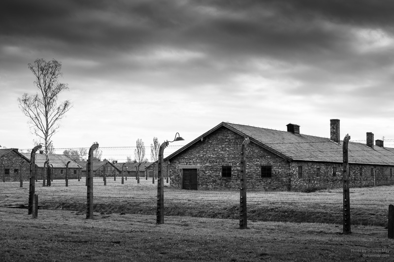 Auschwitz Birkenau L1007969 20161017