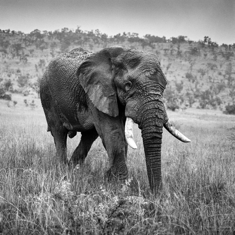 Web S3006161 20190213