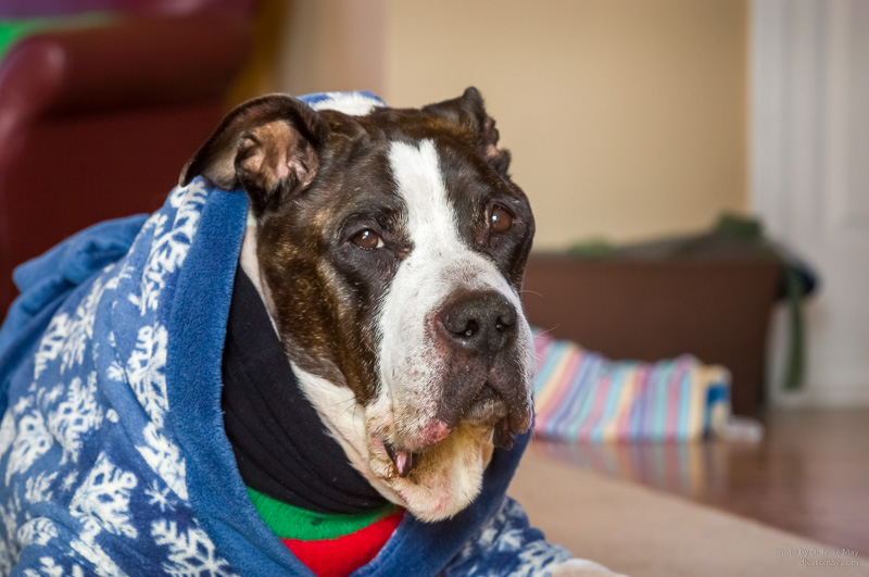 Web S3007111 20190221