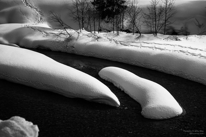 Web S3007259 20190305