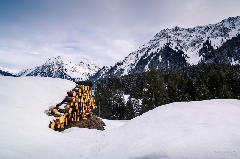 Web S3007321 20190305