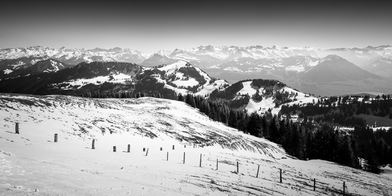 Web S3007436 20190320