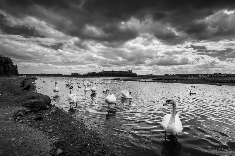 Dublin L1008903 20190526 2