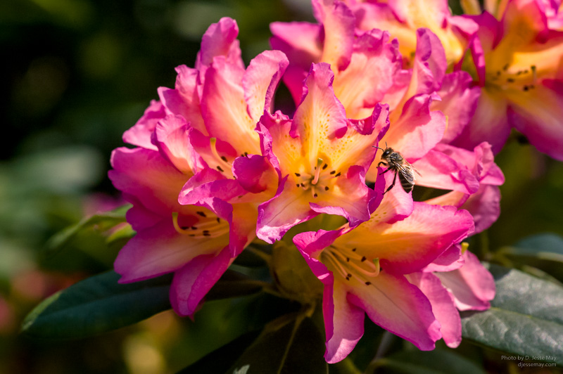 Web S1004448 20200426 2