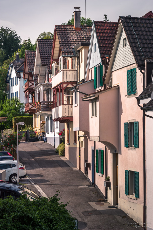 Web S1004450 20200522