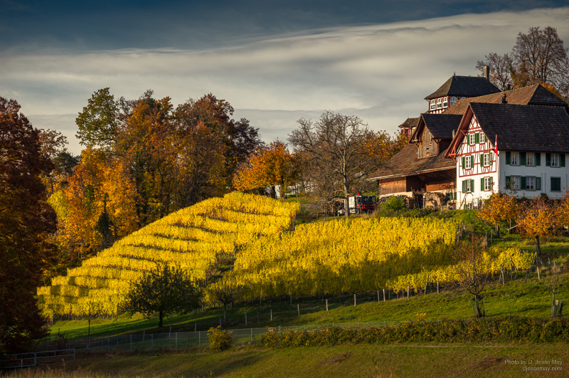 Web S3014233 20211107