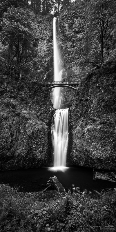 Web S3019877 20220629 4