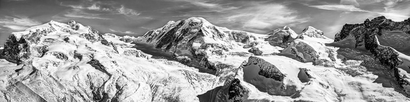 Caledonian Forest S3004601 20190208