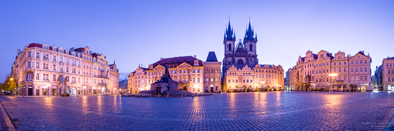 Caledonian Forest S3004601 20190208