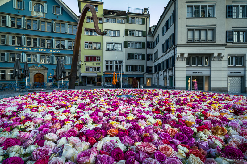 Zurich S3019114 20220417