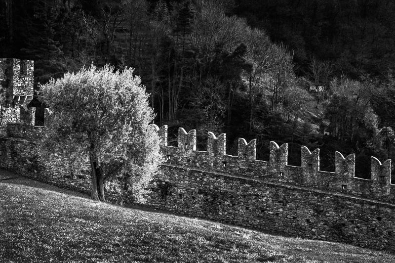 Bellinzona S1003557 20191226 2