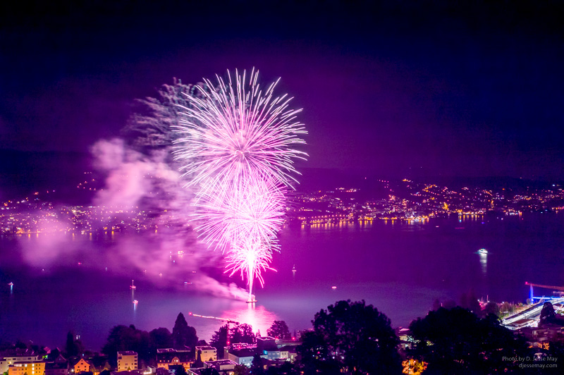 Horgen L1003648 20180801