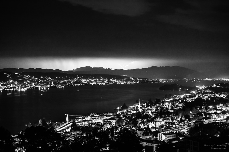 Caledonian Forest S3004601 20190208