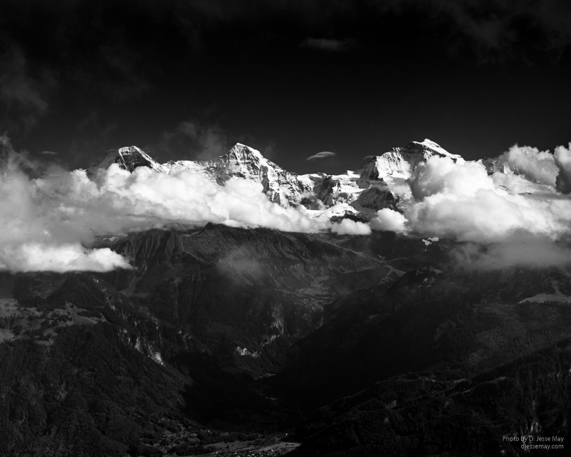 Caledonian Forest S3004601 20190208